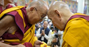 His Holiness the Dalai Lama warmly greeting the Ganden Throneholder before taking his seat to give a teaching at the Main Tibetan Temple in Dharamshala, HP, India on 30 September 2024. Photo by Ven Zamling Norbu