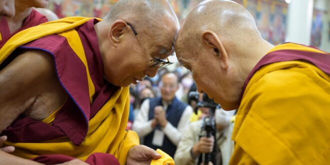 His Holiness the Dalai Lama warmly greeting the Ganden Throneholder before taking his seat to give a teaching at the Main Tibetan Temple in Dharamshala, HP, India on 30 September 2024. Photo by Ven Zamling Norbu